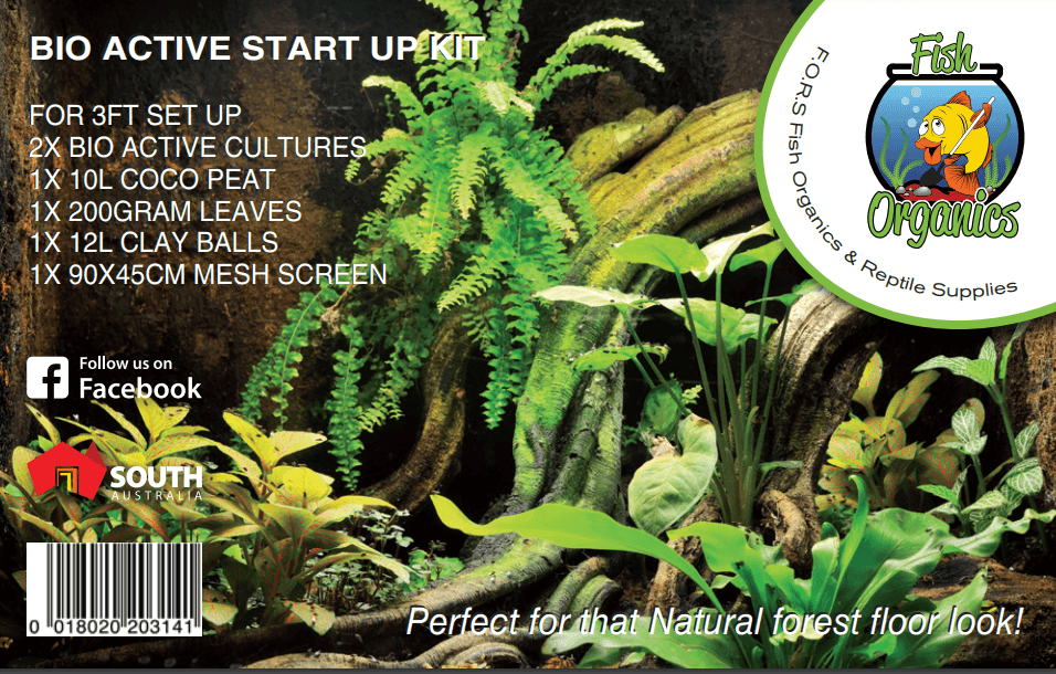 4ft vivarium outlet starter kit