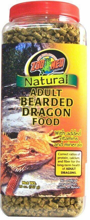 Can Bearded Dragons Eat Kale? Get Clarity About This Superfood