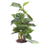 Anubias on Rock Aquarium Ornament - Amazing Amazon