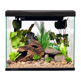 Aqua One Lifestyle Classic Complete Glass Aquarium - Amazing Amazon