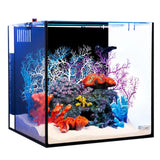 Aqua One NanoReef 80 Aquarium - Amazing Amazon