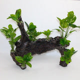 Aquarium Ornament Driftwood with Plants Large - Amazing Amazon