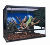 Budget Terrarium Large - Amazing Amazon