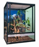 Budget Terrarium Small Tower - Amazing Amazon