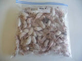 Bulk Frozen Fuzzie Mice (100) - Amazing Amazon