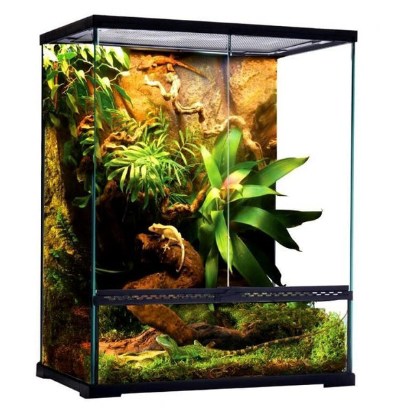 Deluxe Reptile Terrarium 30cm x 30cm x 45cm | Aquarium and Reptiles