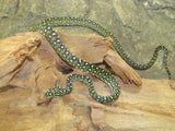 Diamond Python - Amazing Amazon