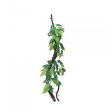 Eco Tech Vine with Moss Ficus Growth 70cm - Amazing Amazon