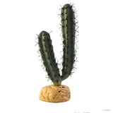 Exo Terra Finger Cactus - Amazing Amazon