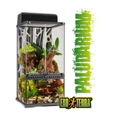 Exo Terra Paludarium Terrarium 30x30x60cm - Amazing Amazon