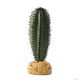 Exo Terra Saguaro Cactus - Amazing Amazon