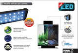 Fluval Edge Aquarium 2.0 Black 23 Litre - Amazing Amazon