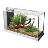 Fluval Spec 5 Aquarium 19L White (New Model) - Amazing Amazon