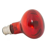 Infra Red 75W Bayonet Heat Globe - Amazing Amazon