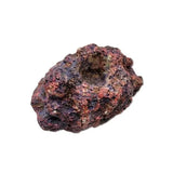 Java Reef Frag Rocks 30 Pieces - Amazing Amazon