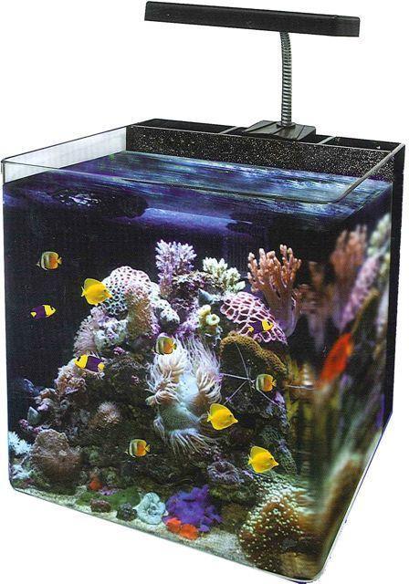 Ocean Free Nano Marine Tank 34 Litre | Aquarium and Reptiles