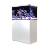 Red Sea Reefer G2+ 250 Marine Aquarium - Amazing Amazon