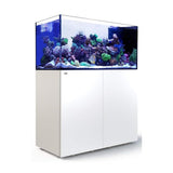 Red Sea Reefer Peninsula P500 500 Litre Aquarium White - Amazing Amazon