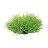 Reptile One Spinifex Grass 30cm - Amazing Amazon