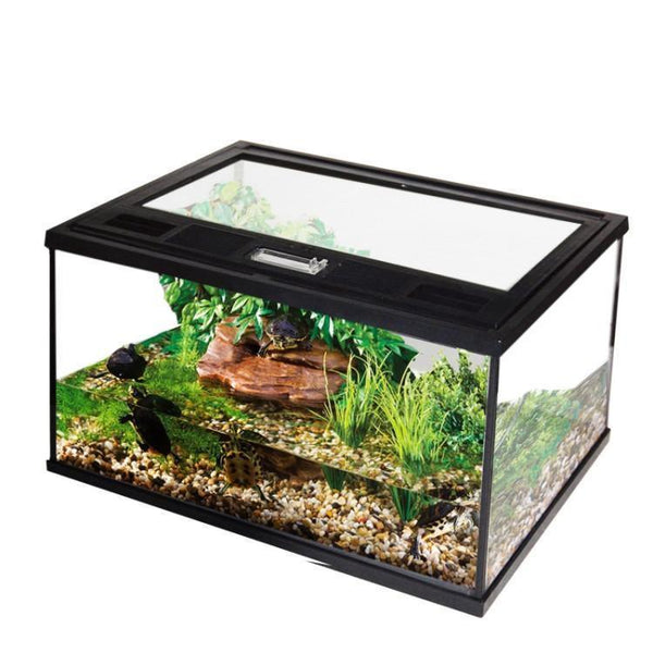 Reptile Spider Scorpion Terrarium Enclosure | Aquarium and Reptiles