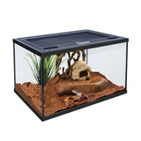 Scorpion Terrarium Cage Enclosure Set Up Kit - Amazing Amazon