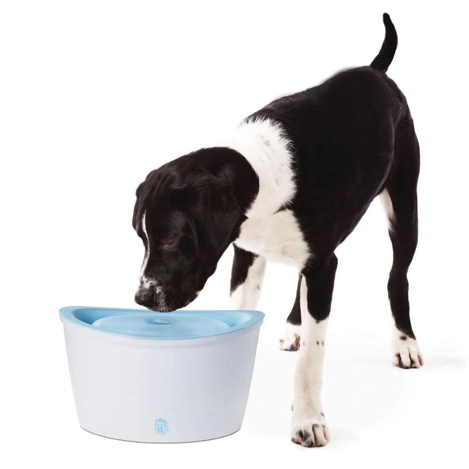 Dogit large clearance dog drinking fountain