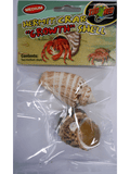 Zoo Med Hermit Crab Shell - Amazing Amazon